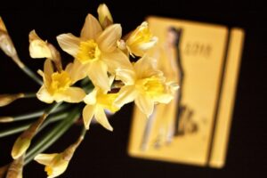 Read more about the article Obudź się z zimowego snu! 10 pomysłów na wiosnę!